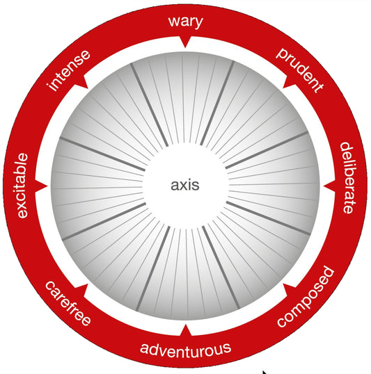 Risk Type Compass